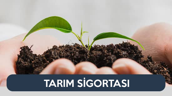 hizmet logo
